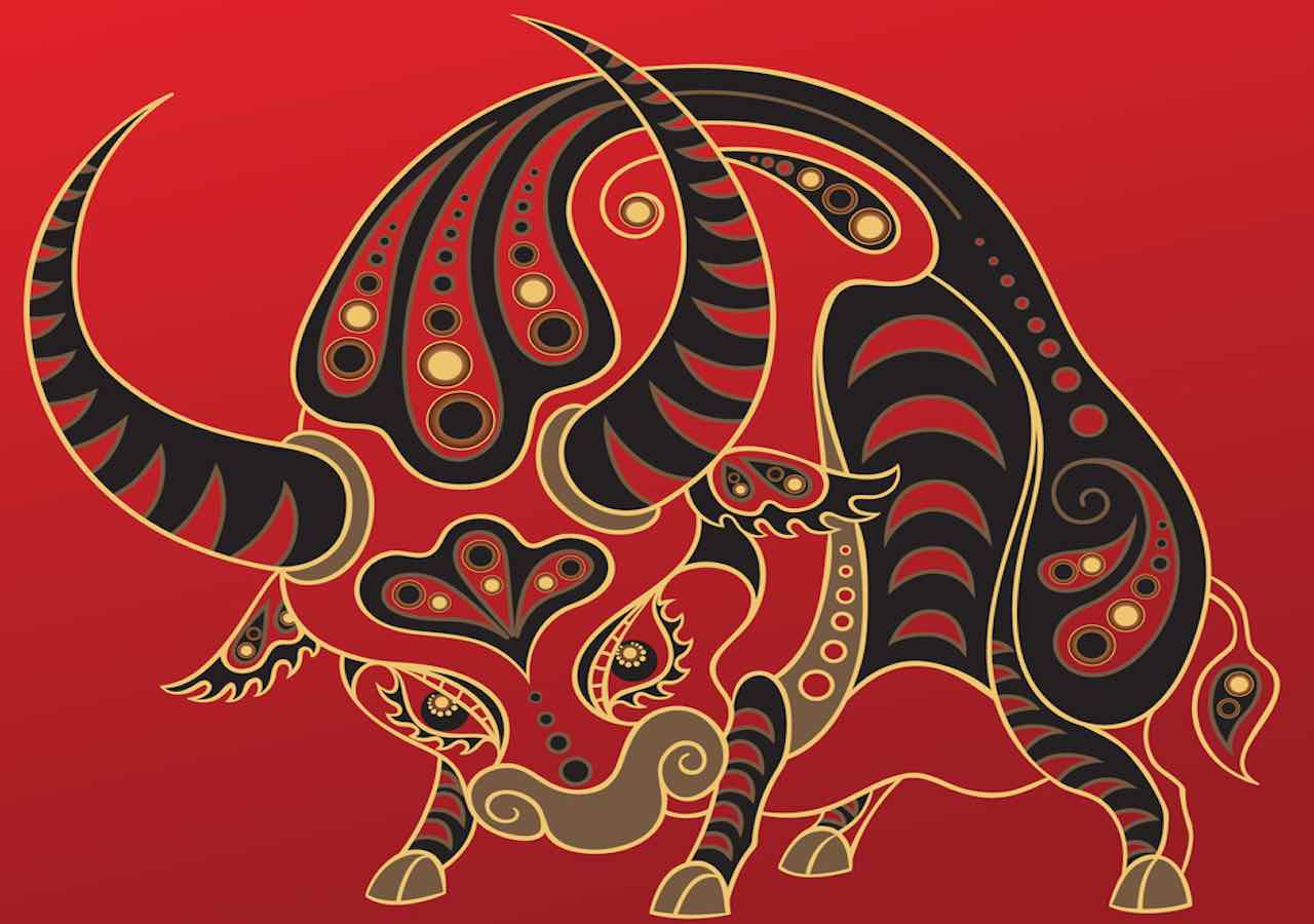 New lunar year - buffalo