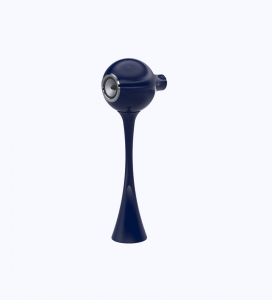Encre de Chine – Grande Iris